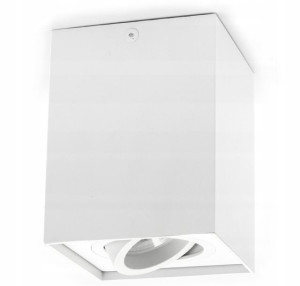 Oprawa NATYNKOWA ruchoma spot GU10 LED KOLORY