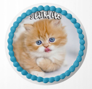 Opłatek Na Tort 24cm - Słodki Kotek Kot + Gratis