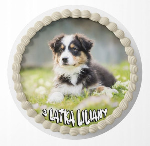 Opłatek Na Tort 24cm - Słodki Piesek Pies + Gratis