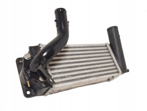 Intercooler 179000N040