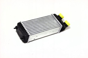 Intercooler CITROEN C2 1.6 HDI '05-