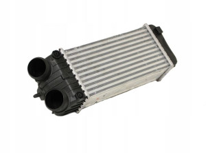 Intercooler PEUGEOT 207 SW '07-