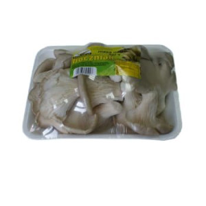 Boczniak 500 g