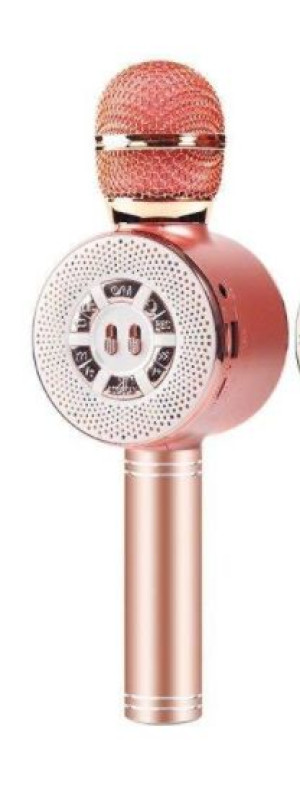 MIKROFON KARAOKE BLUETOOTH dla DZIECI FM nagrywa