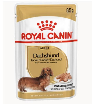 Royal Canin Dachshund karma mokra - pasztet, dla p