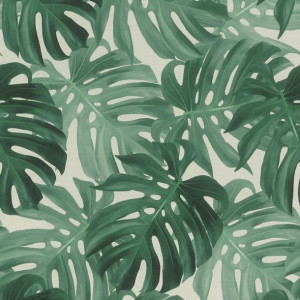 Tapeta Wzór Roślinny Liście Monstera Na Flizelinie