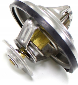 Termostat Audi A6 A8 3.3 3.7 4.2 Rs6 S8 '94-'10