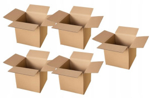 240x238x235 Karton Pudełka Kartony Paczki 5 Sztuk
