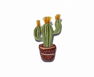 Haftowana Naszywkana ubrania Cactus