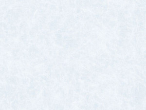 Folia stat. premium REISPAPIER 45x150