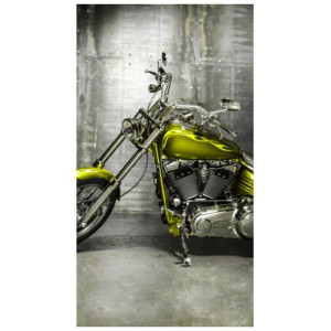 OKLEINA  Oliwkowy motocykl 110x200