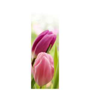 FOTOROLETA  Soczyste tulipany 68x215