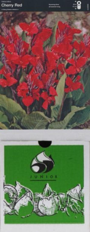 Kanna/canna Chery Red 1 Szt.