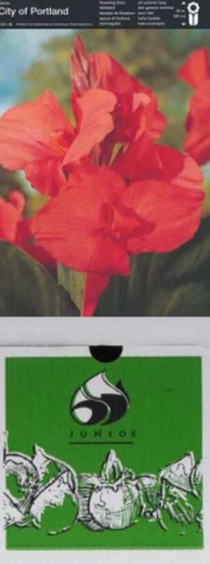 Kanna /canna City Of Portland 1 Szt.