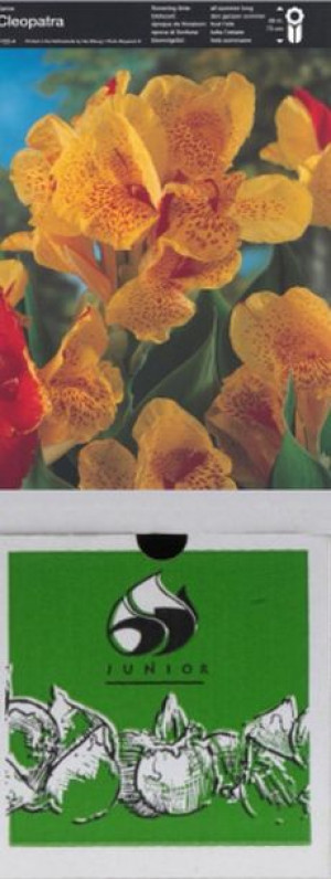 Kanna/canna Cleopatra 1 Szt.