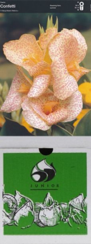 Kanna/canna Confetii 1 Szt.