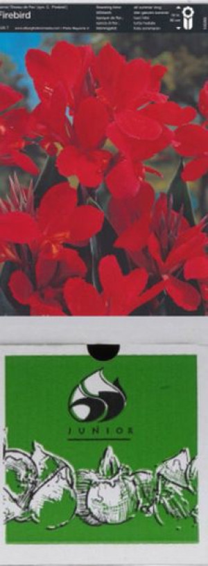 Kanna/canna Canna Firebird 1 Szt.