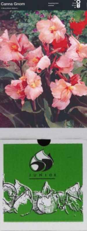 Kanna/canna Gnom 1 Szt.