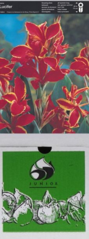 Kanna/canna Lucifer 1 Szt.