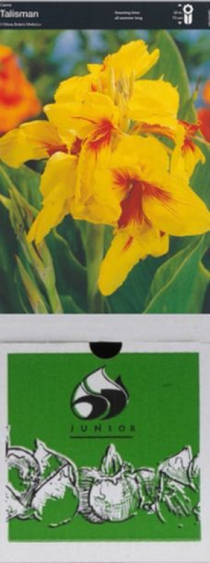 Kanna/canna Talisman 1 Szt.