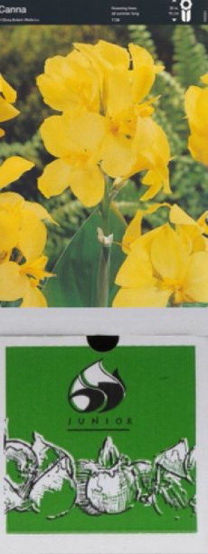 Kanna/canna Yellow Futurity 1 Szt.