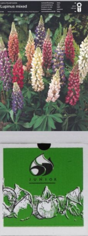 Lupinus Łubin Trwały Mieszanka Mix 15 Szt.