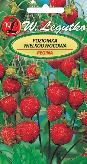 Nasiona Poziomka Regina, owoce czerwone, duże 0,1g