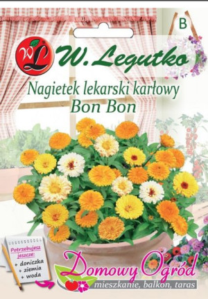 Nasiona Nagietek lekarski karłowy Bon Bon, 2g