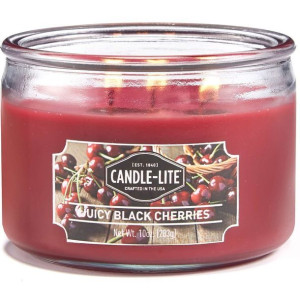 Candle-lite Everyday średnia świeca zapachowa w szklanym słoju 10 oz 283 g