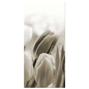 OBRAZ DRUKOWANY  Tulipany 55x115