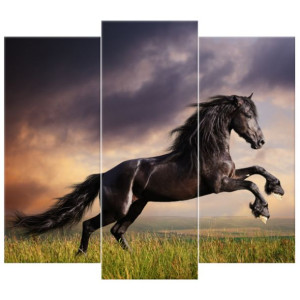 OBRAZ DRUKOWANY  Koń staje dęba 90x80