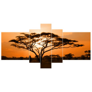 OBRAZ DRUKOWANY  Pejzaż afrykański 160x80