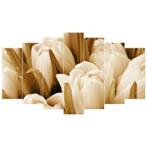 OBRAZ DRUKOWANY  Świeże tulipany 140x80