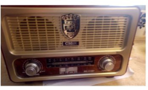 Radio przenośny głośnik bluetooth
