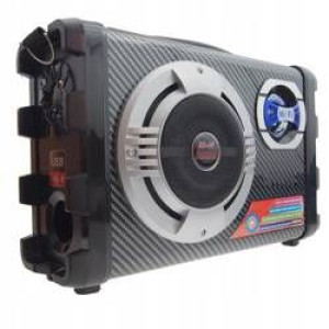 Hi-fi Radio Budowlane, Głośnik Na Budowę 25w Cmik