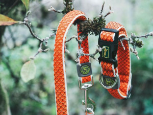 Obroża Hunter Hilo Vario Basic XL pomarańczowa