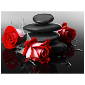 FOTOTAPETA  Roses and spa 200x150