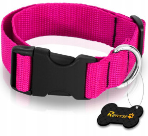 Solidna Obroża Taśmowa Do Psa Regulowana 35-55cm L