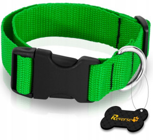 Solidna Obroża Taśmowa Do Psa Regulowana 35-55cm L