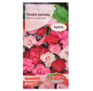 Nasiona Goździk Pierzasty Mix 0.5g.