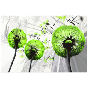 OBRAZ DRUKOWANY  Dmuchawce w kolorze limonki 60x40