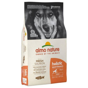 ALMO NATURE Holistic Adult Large z łososiem 12kg