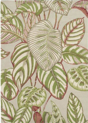 Dywan Sanderson Calathea Olive 050807