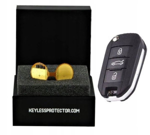 KEYLESS PROTECTOR zabezpieczenie kluczyka CITROEN