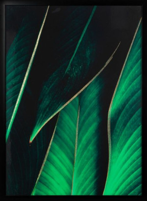 Obraz 481 53x73 Cm Zielony