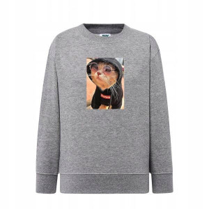 Bluza Kot w bluzie dziecięca szara 116