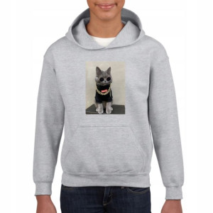 Bluza kot w bluzie supreme dziecięca szara 128