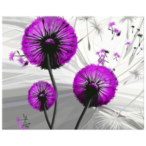 OBRAZ DRUKOWANY  Dmuchawce w fiolecie 50x40