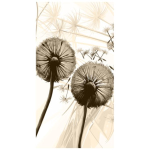 FOTOROLETA  Dmuchawce w brązie 80x150
