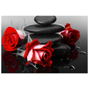 OBRAZ DRUKOWANY  Roses and spa 90x60